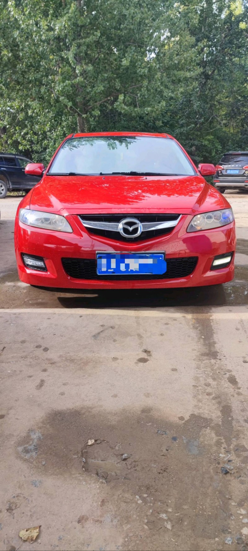 保定12年马自达61