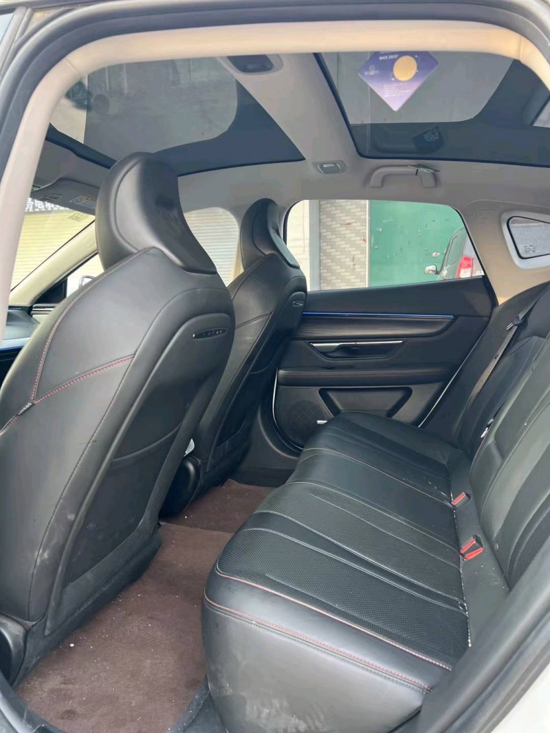 天津21年小鹏汽车p74