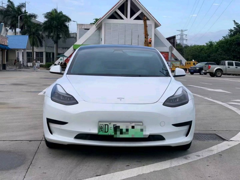 莆田21年特斯拉MODEL 31
