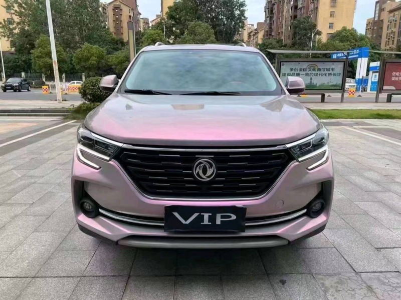 衡阳20年东风T51