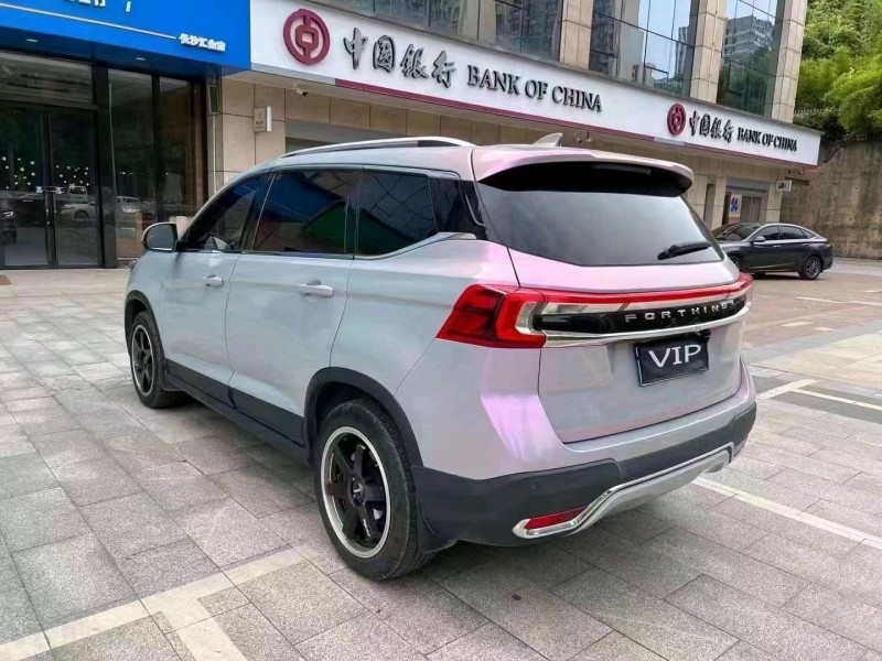 衡阳20年东风T54