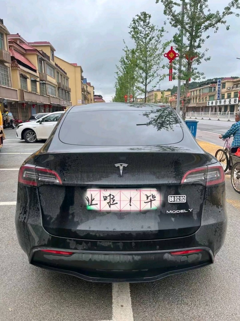 景德鎮21年特斯拉MODEL Y7