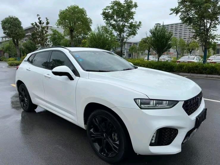 鹽城19年長城汽車WEY VV73