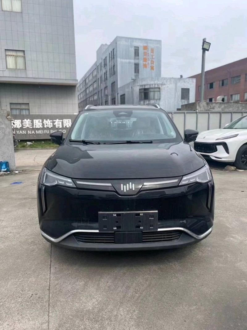 嘉兴23年威马汽车W61
