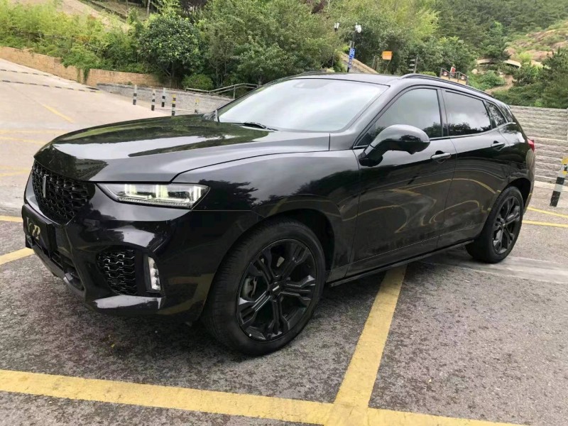 棗莊19年長城汽車WEY VV73