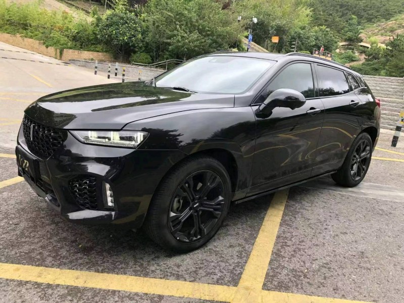 淄博19年長城汽車WEY VV73