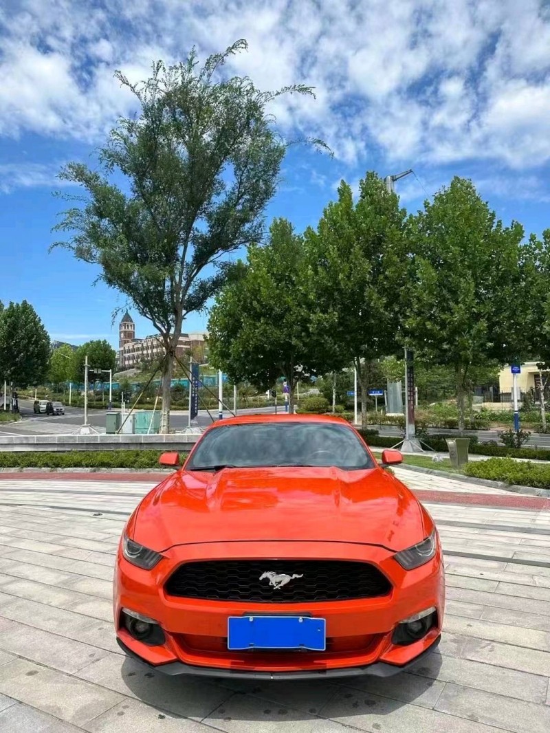 东营16年福特野马1