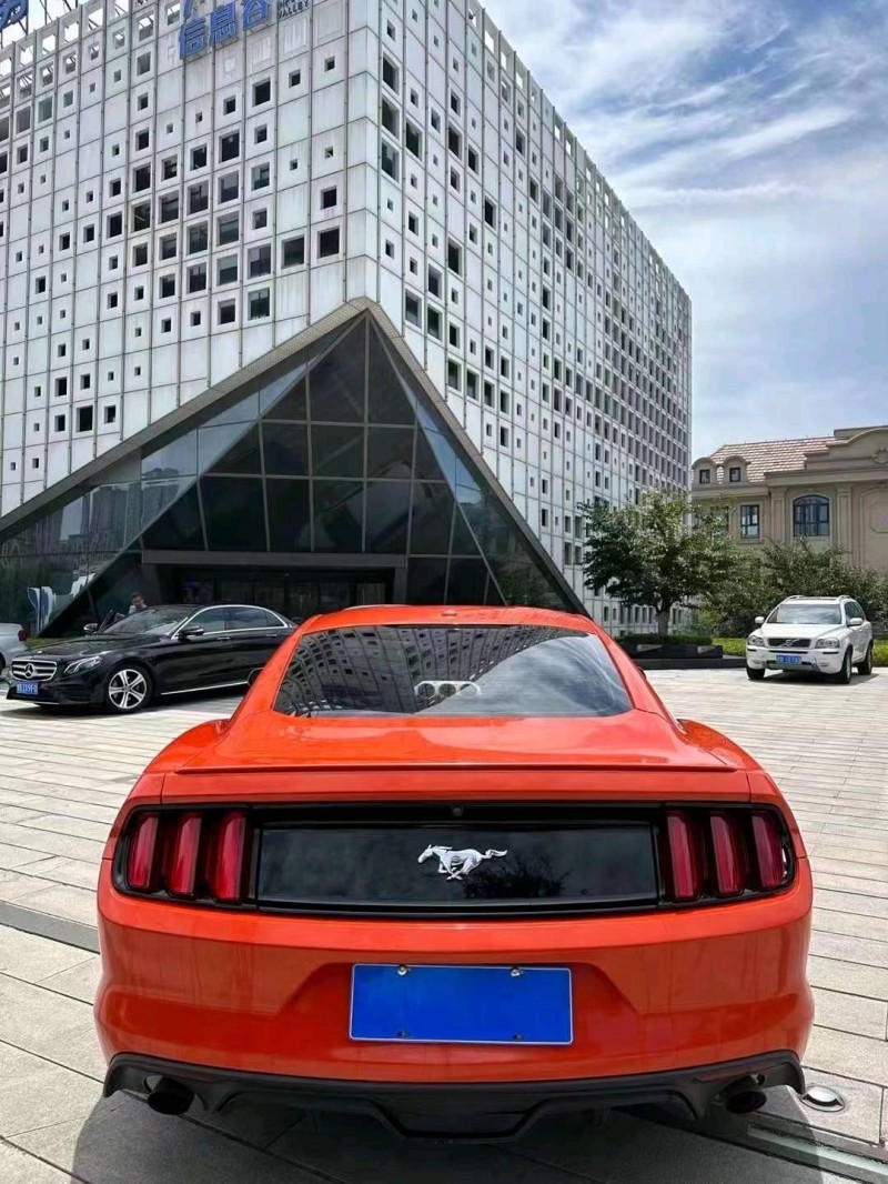 东营16年福特野马9