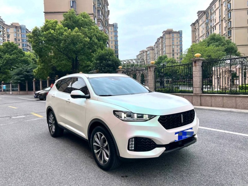 上海19年長城汽車WEY VV63