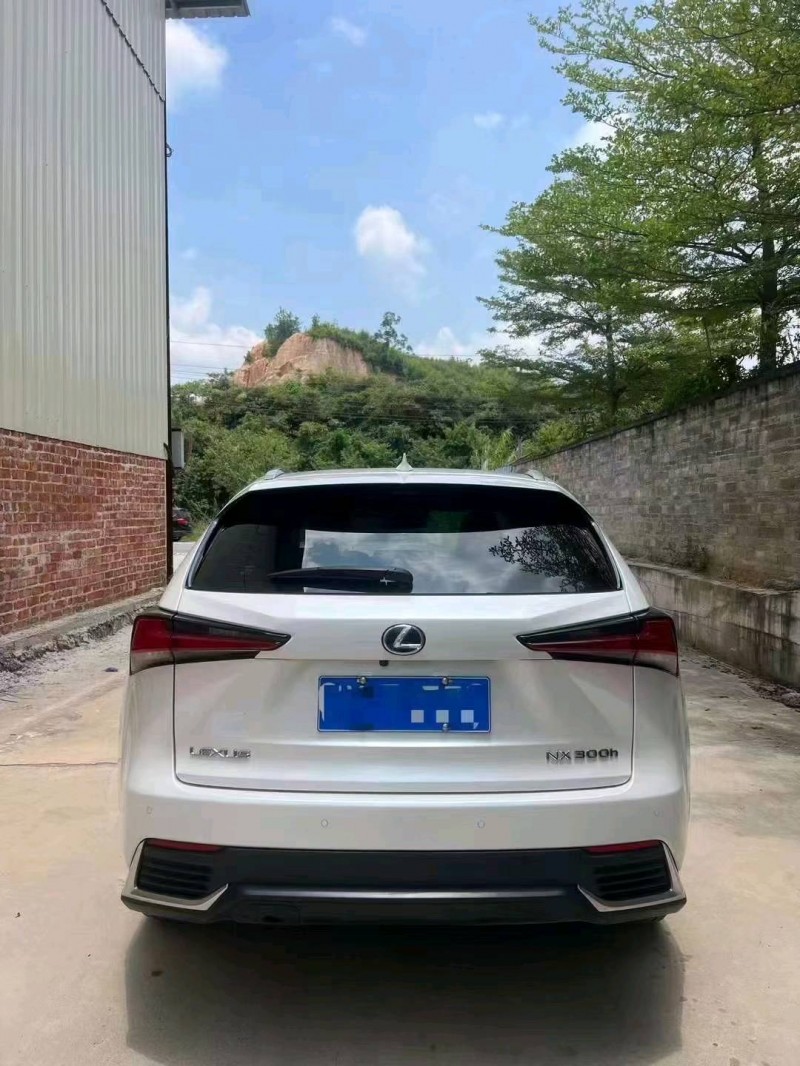珠海21年雷克萨斯NX6