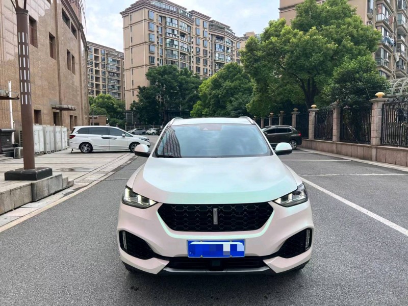 上海19年長城汽車WEY VV61