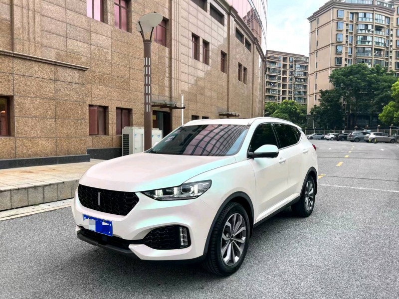 上海19年長城汽車WEY VV69