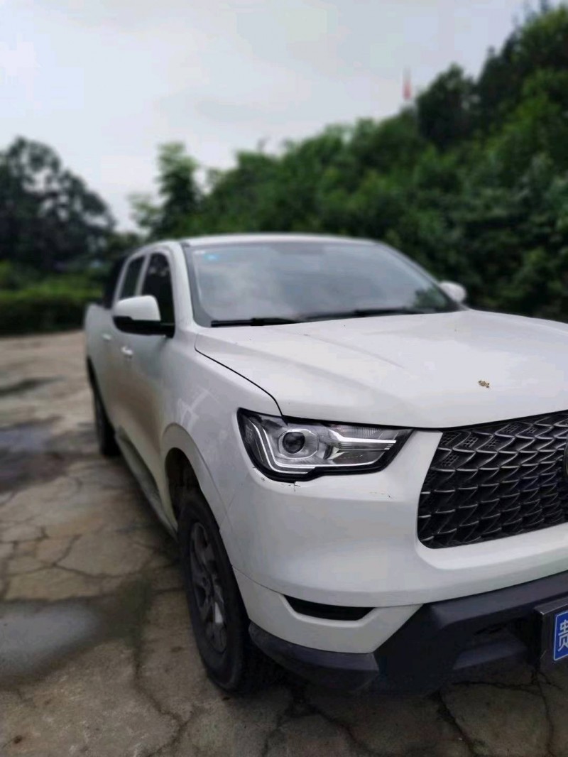 宜昌21年長城汽車炮 皮卡5