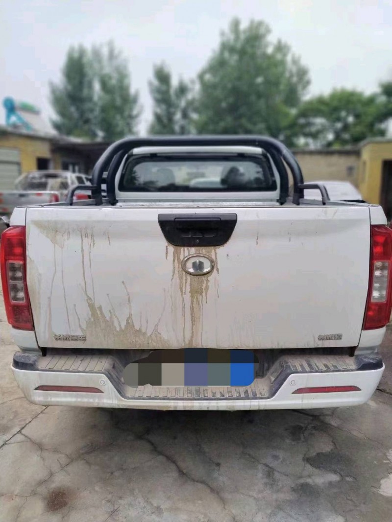 宜昌21年長城汽車炮 皮卡8