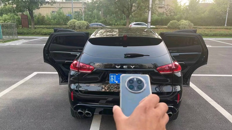常州18年長城汽車WEY VV56