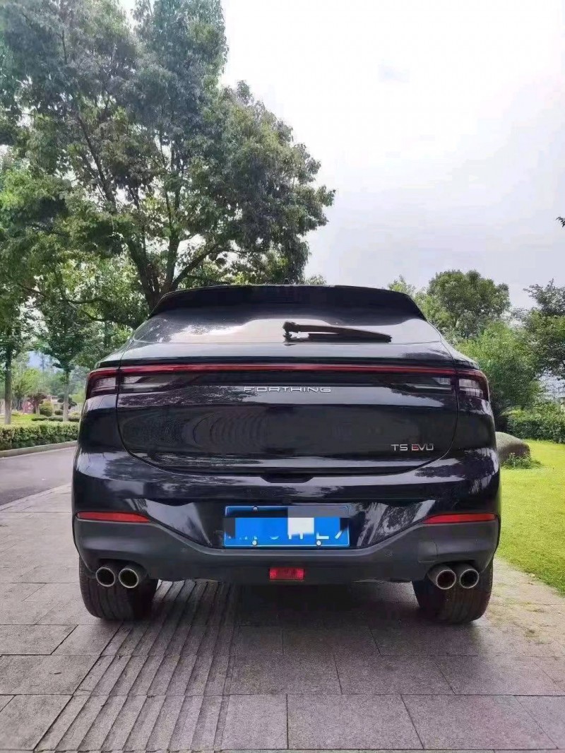 湖州22年东风T54