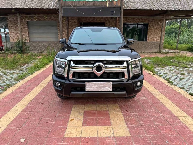 徐州23年長城汽車炮 皮卡1