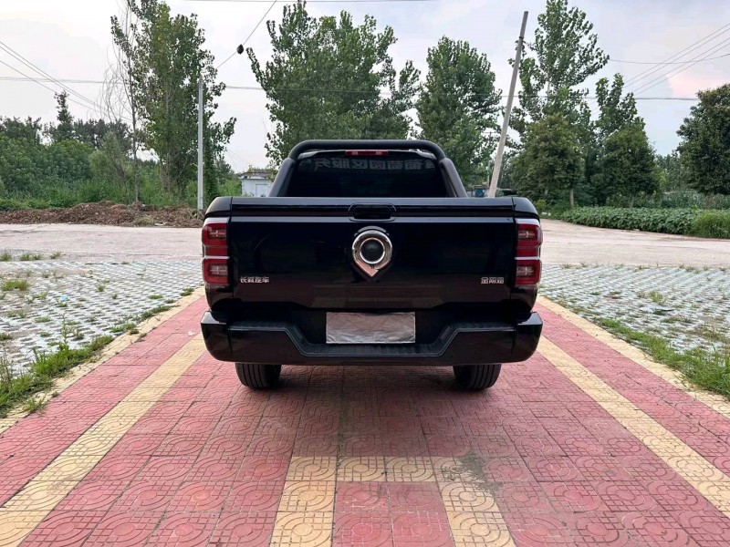 徐州23年長城汽車炮 皮卡9