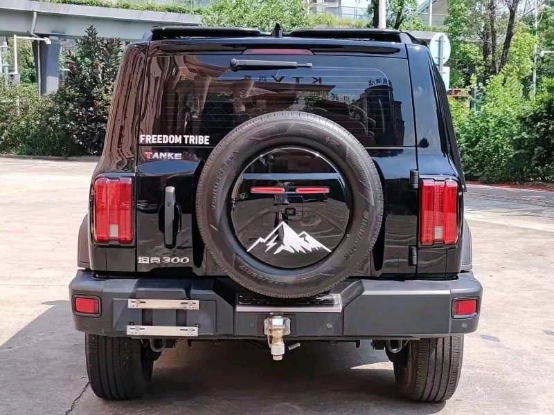 珠海21年長城汽車坦克3009
