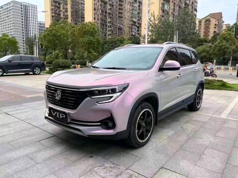 衡阳20年东风T51