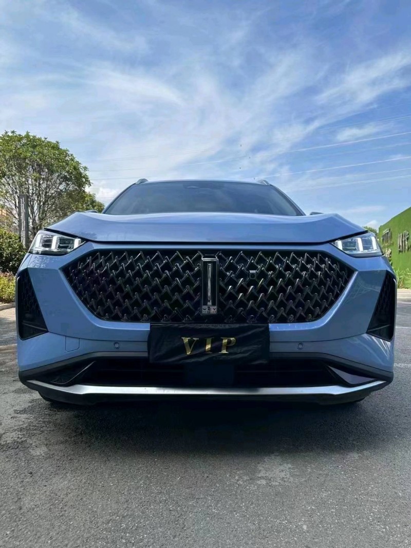 湘潭22年長城汽車WEY 瑪奇朵1