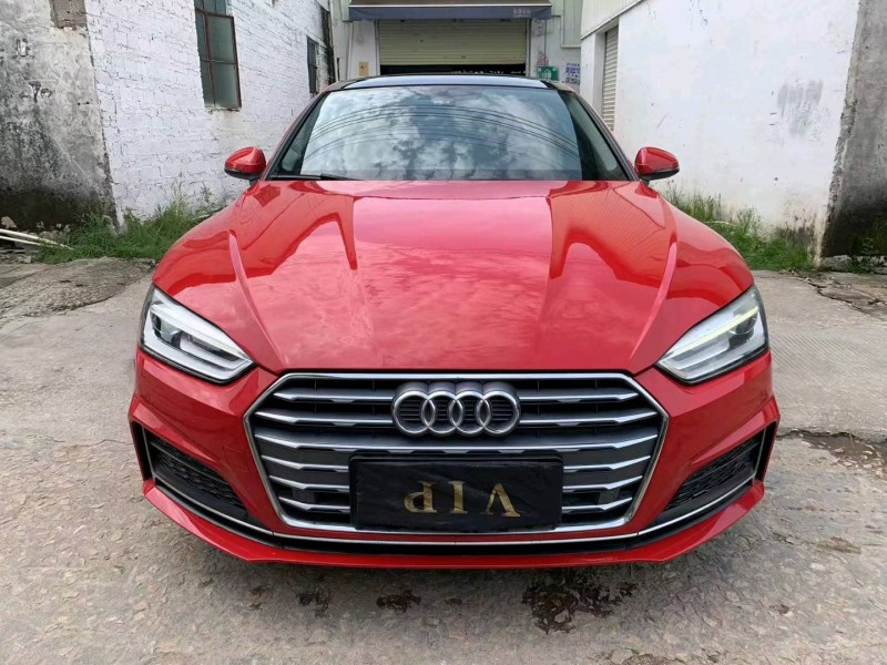 广州17年奥迪A51