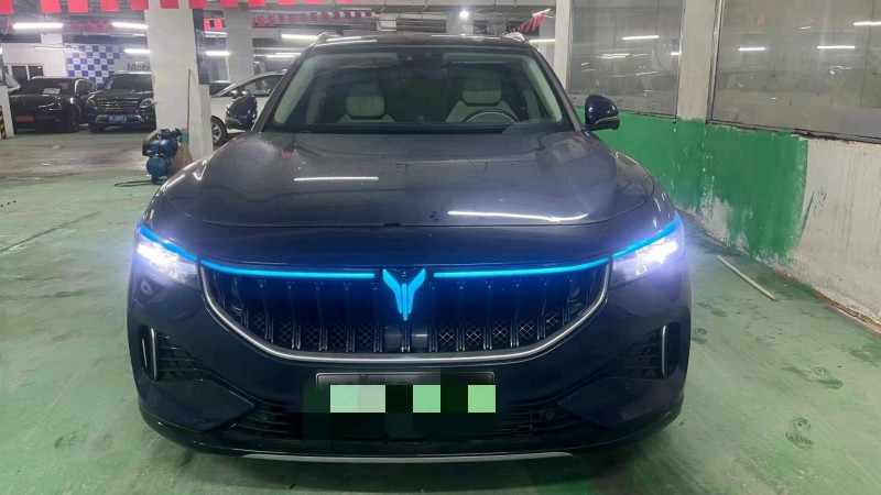 溫州21年嵐圖汽車FREE1
