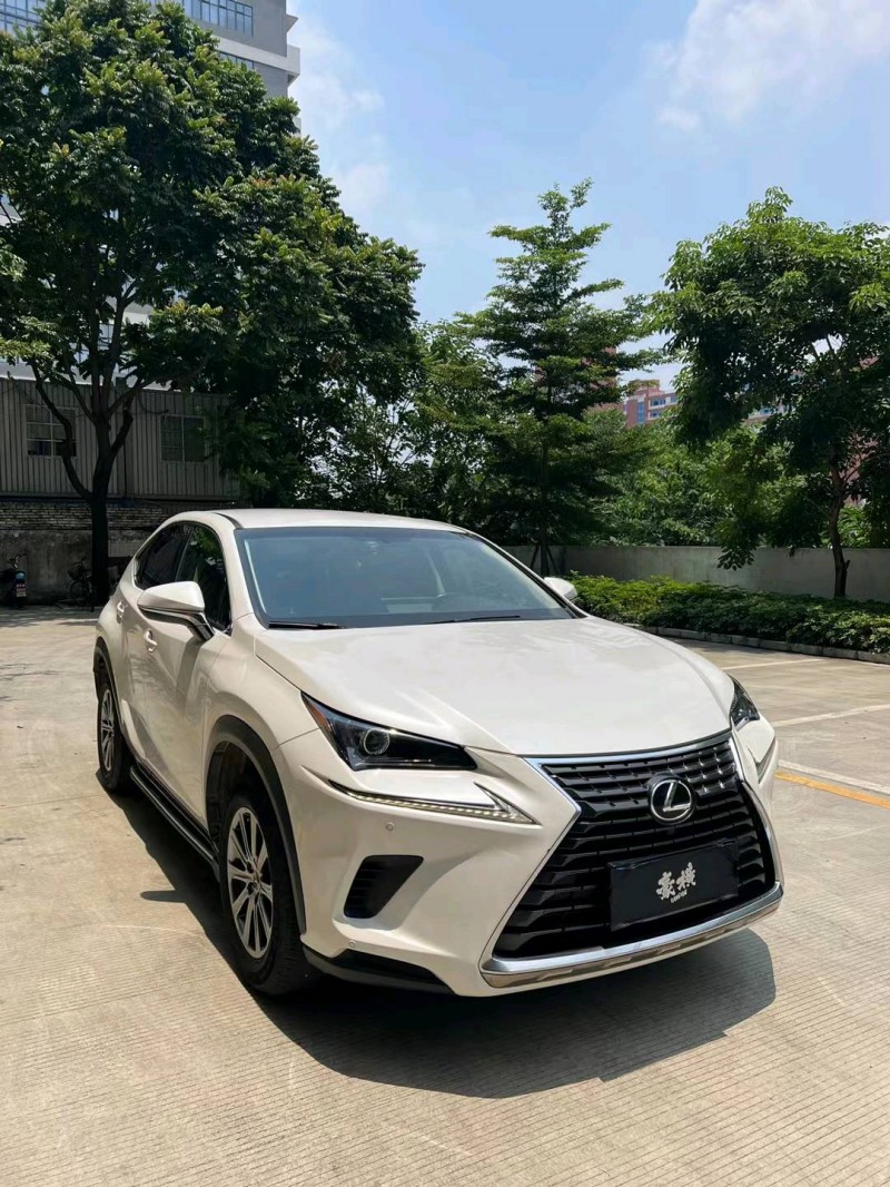 佛山18年雷克薩斯NX2