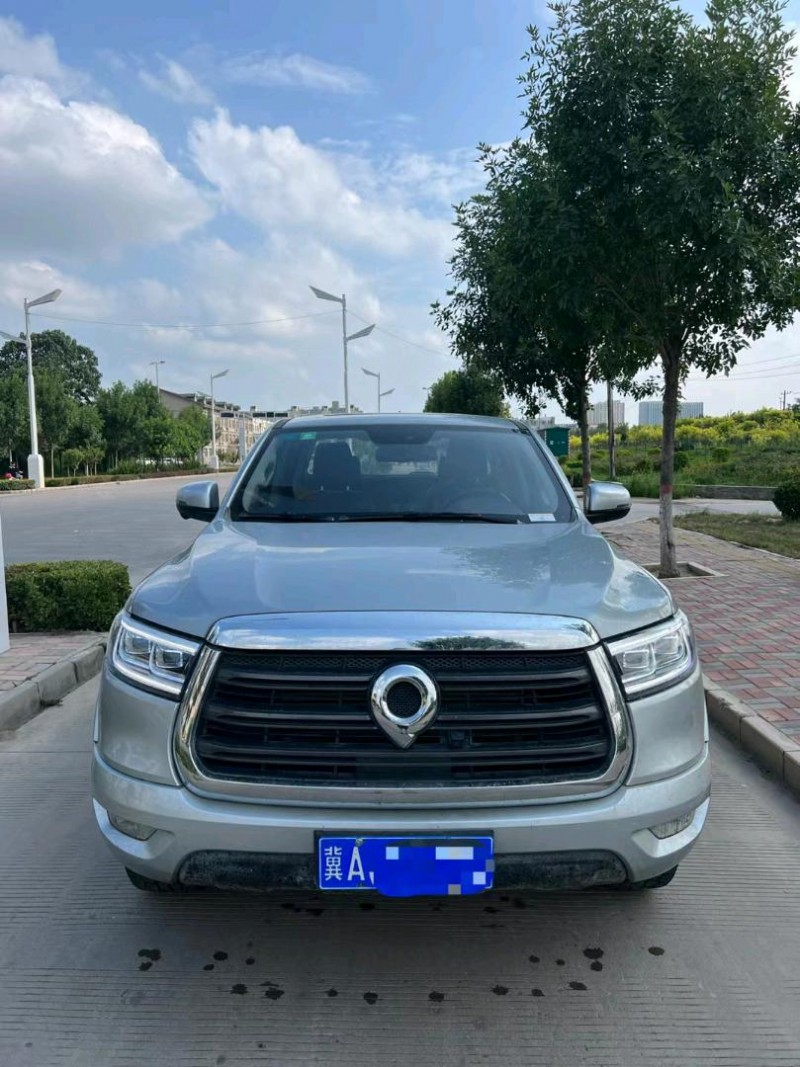 邢臺20年長城汽車炮 皮卡1