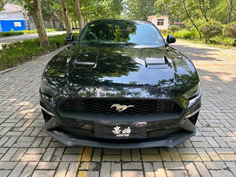 淄博19年福特野马1