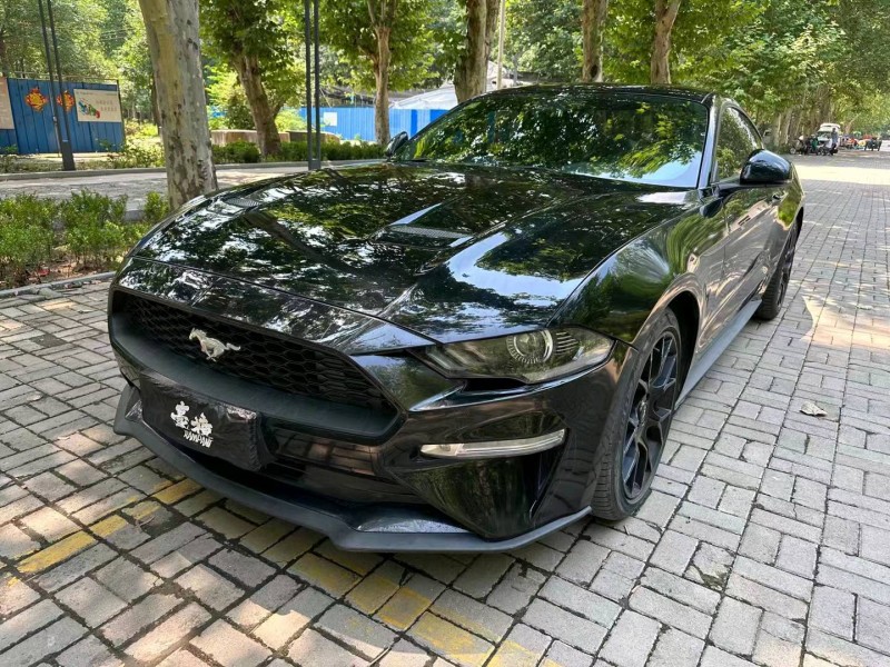 淄博19年福特野马8