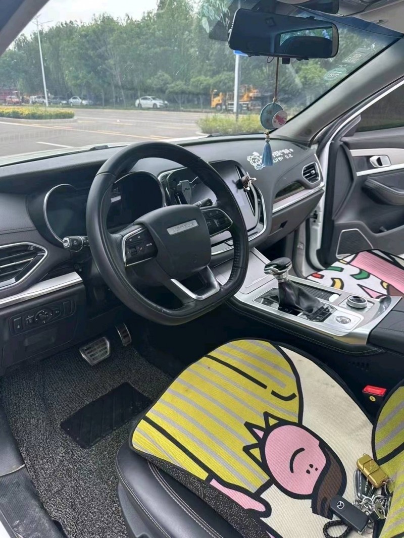 枣庄20年奇瑞捷途X704