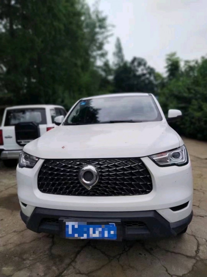 衡陽21年長城汽車炮 皮卡1