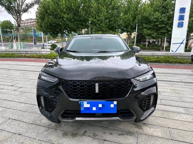 棗莊17年長城汽車WEY VV71