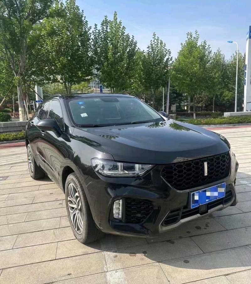 淄博17年長城汽車WEY VV52