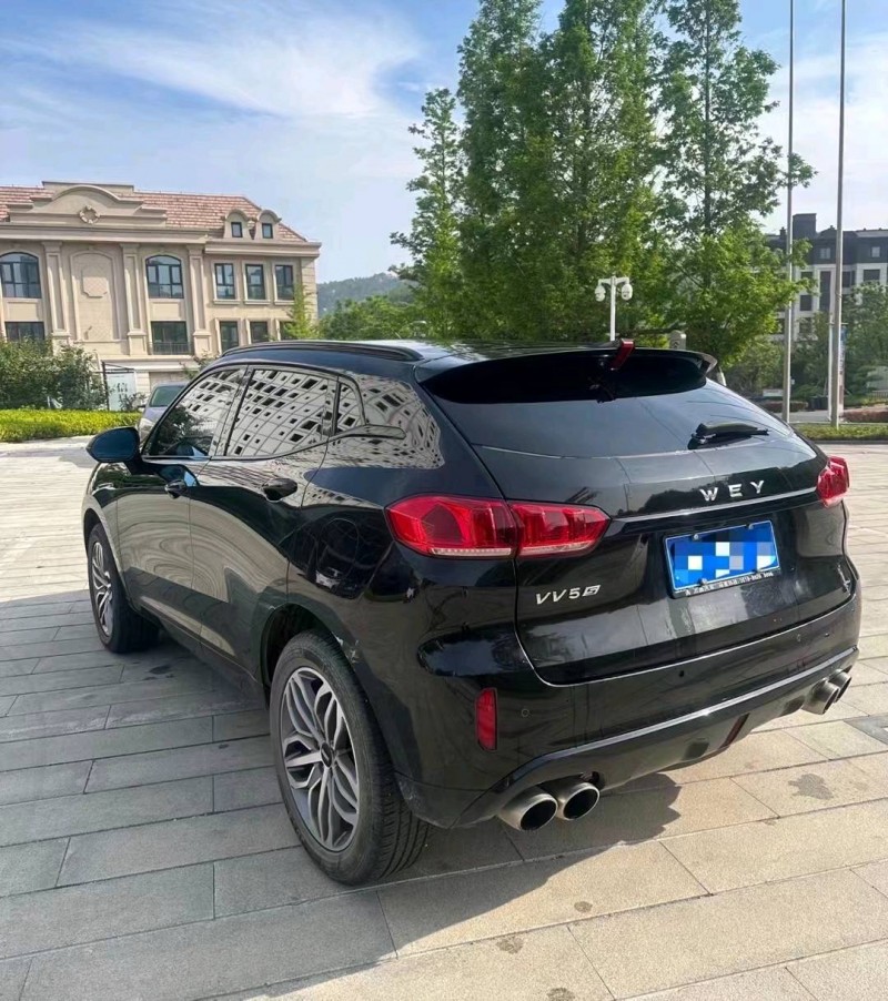 淄博17年長城汽車WEY VV59