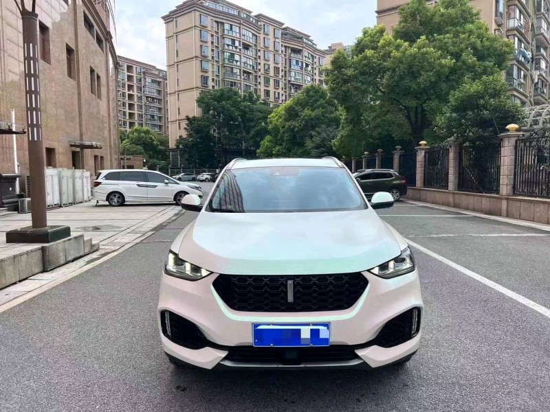上海19年長城汽車WEY VV61