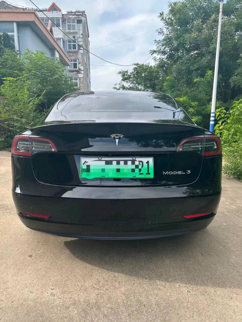棗莊20年特斯拉MODEL 39