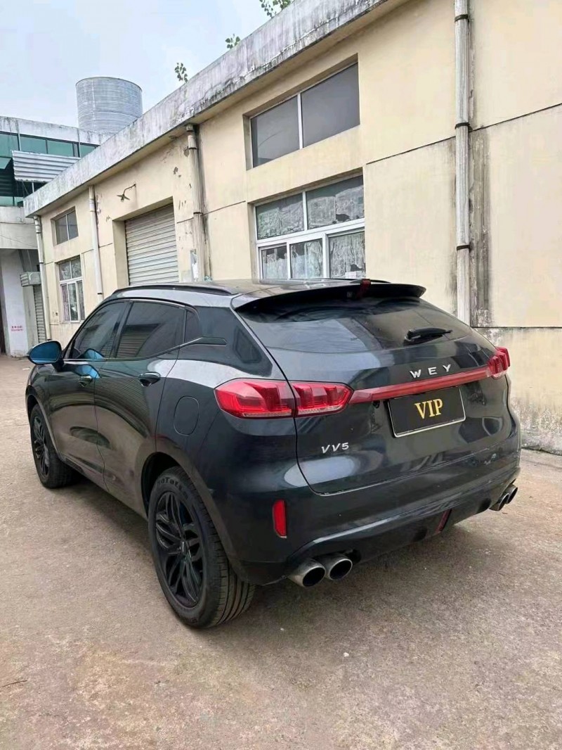 常州18年長城汽車WEY VV56