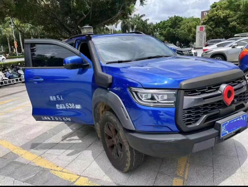 嘉興20年長城汽車炮 皮卡1