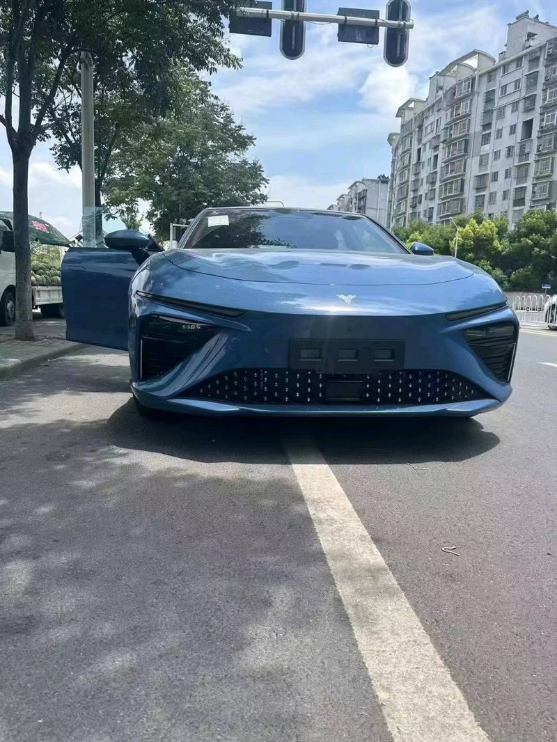 武漢23年哪吒S1
