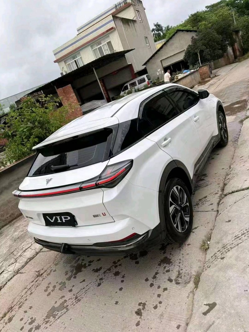 瀘州23年哪吒U4