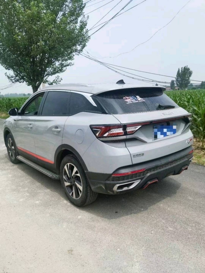 棗莊22年東風風神7