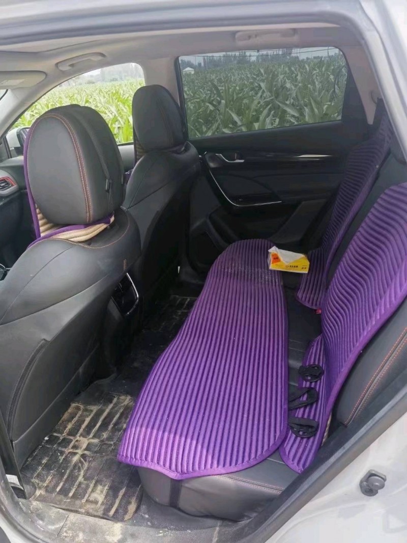 棗莊22年東風風神8