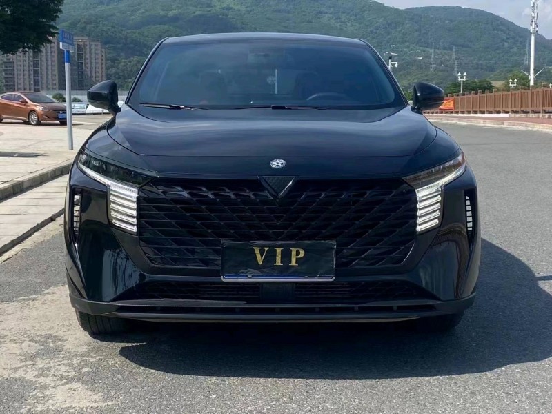 珠海22年啟辰大V1
