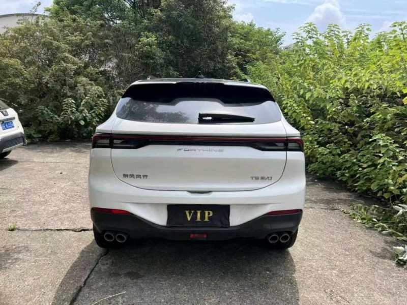 邵阳23年东风T59