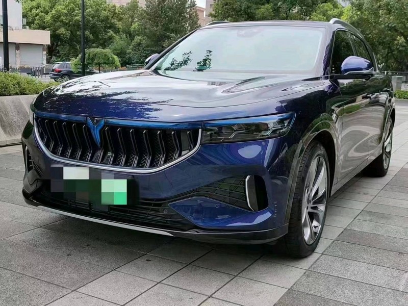 溫州21年嵐圖汽車FREE3