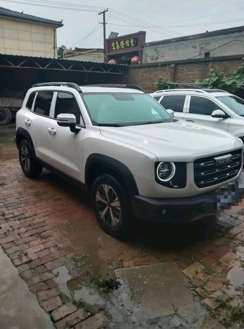 保定22年哈弗大狗3