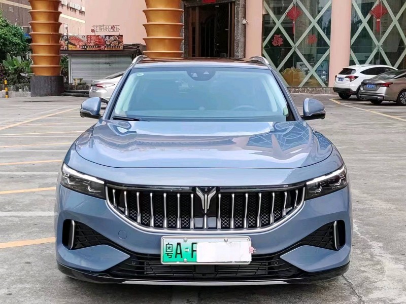 珠海22年嵐圖汽車FREE1
