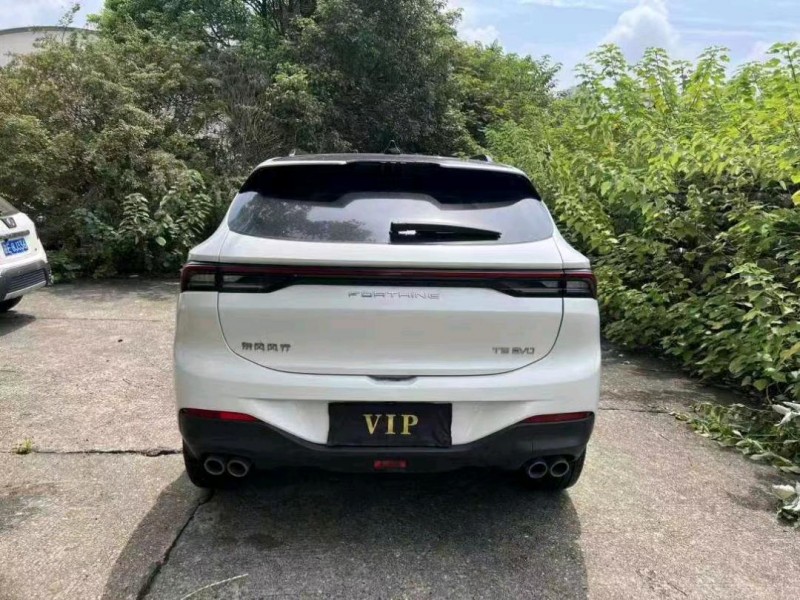 衡阳23年东风T59